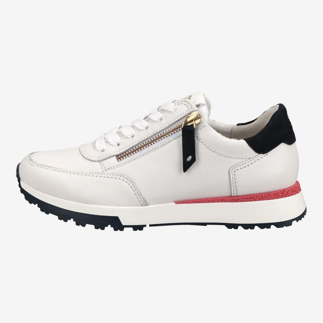 Paul Green 5310015- Trainer