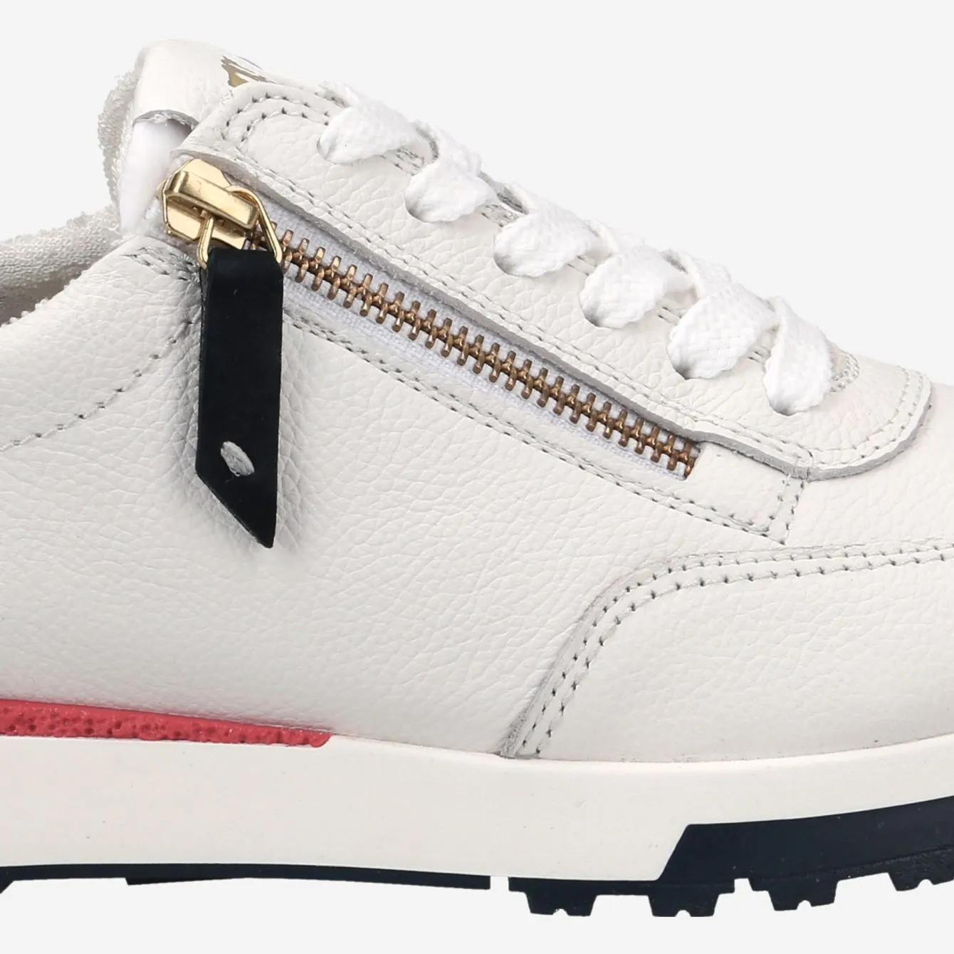 Paul Green 5310015- Trainer