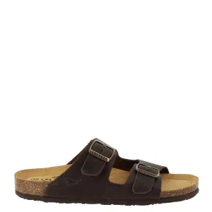 Plakton 180010 Dark Brown Slides